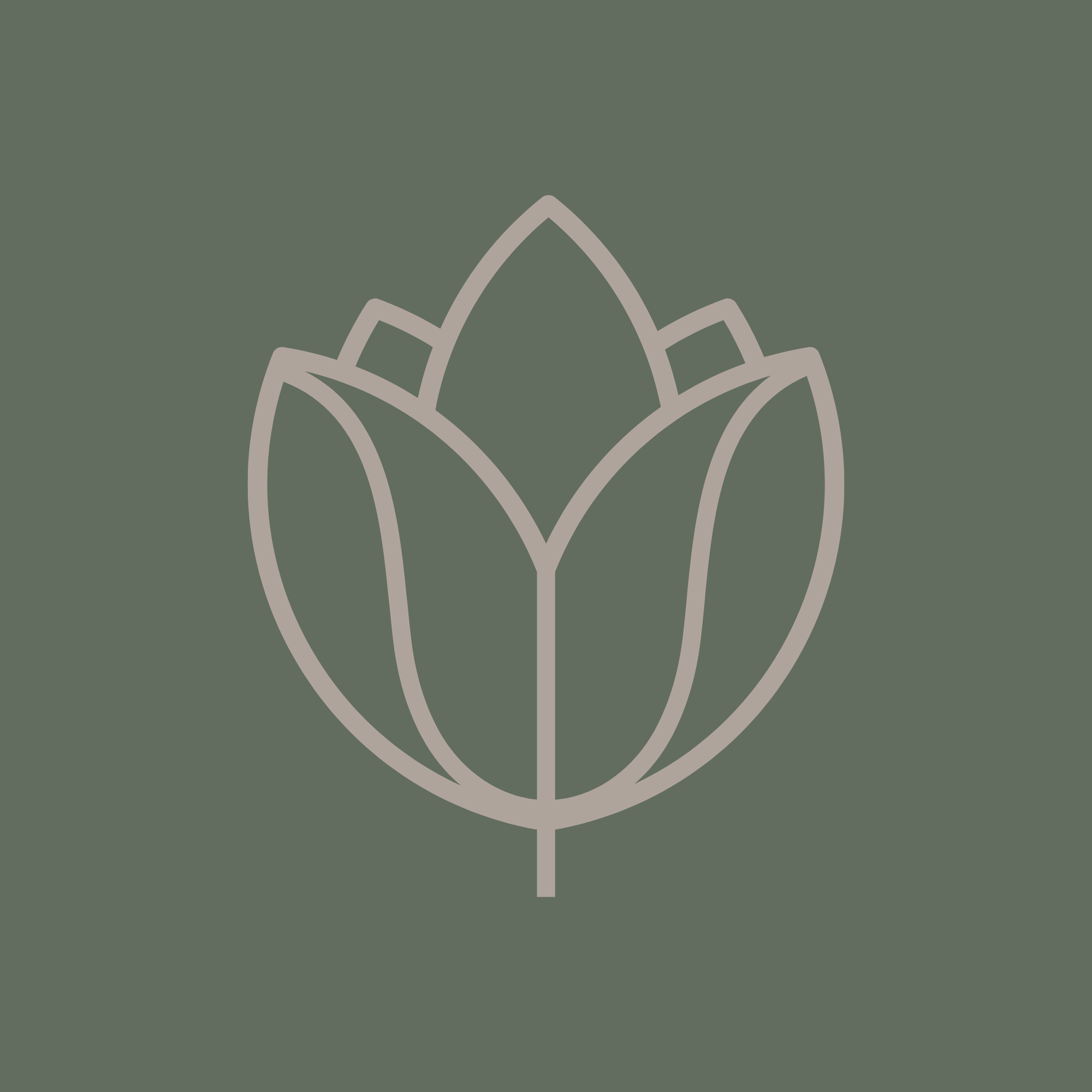 Identidade Visual Espaço Lótus